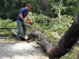 Best Storm Damage Tree Cleanup  in Berea, KY