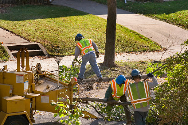 Lawn Pest Prevention in Berea, KY